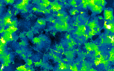 Creating robust bioprocessing scale-down models