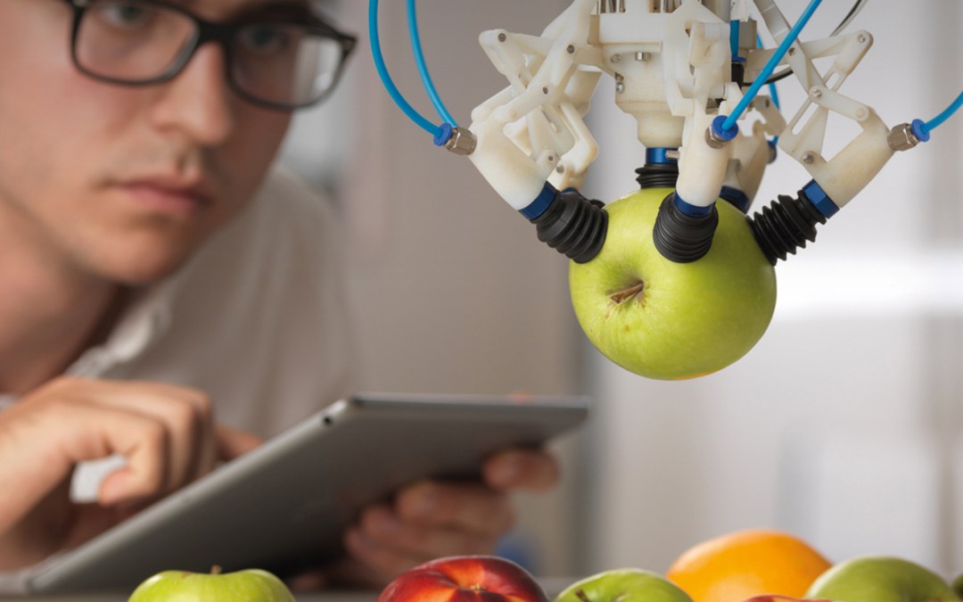 Complex robotic automation and machine vision for sorting fruit
