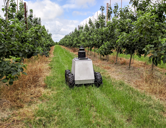 Mamut: The autonomous robot in the field of agritech